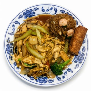 Chicken Chow Mein, Lo Mein or Chop Suey Combination